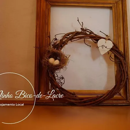 Ninho Bico-de-lacre ~ O Paraiso E A/na Terra * Balocas