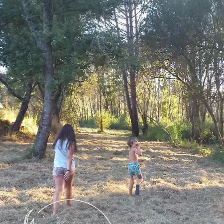 Ninho Bico-de-lacre ~ O Paraiso E A/na Terra * Balocas