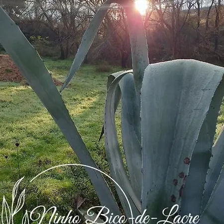 Ninho Bico-de-lacre ~ O Paraiso E A/na Terra بيت للعطل *