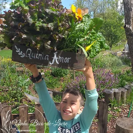 Ninho Bico-de-lacre ~ O Paraiso E A/na Terra * Balocas