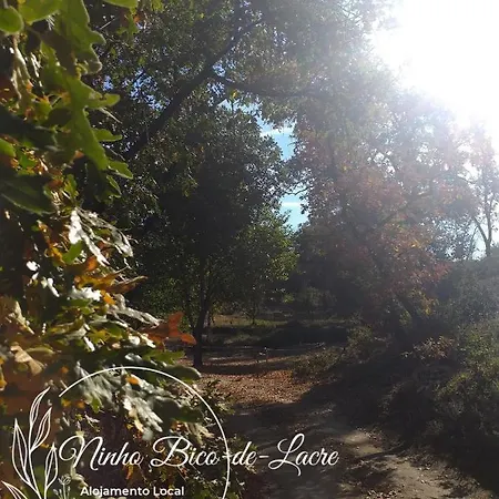 Ninho Bico-de-lacre ~ O Paraiso E A/na Terra Tatil Evi *