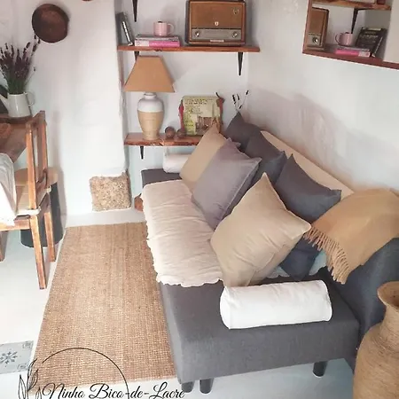 Ninho Bico-de-lacre ~ O Paraiso E A/na Terra * Balocas