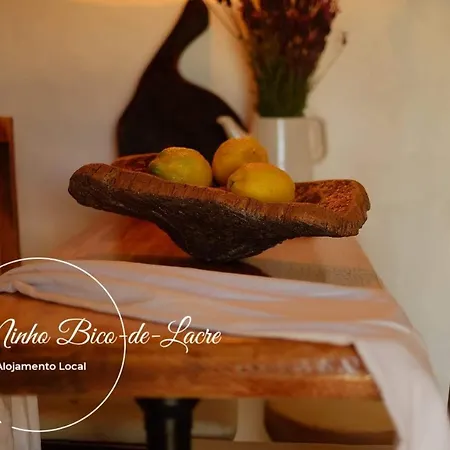 Ninho Bico-de-lacre ~ O Paraiso E A/na Terra *