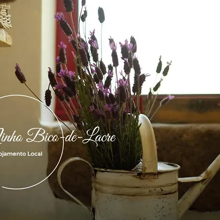 Ninho Bico-de-lacre ~ O Paraiso E A/na Terra Дом отдыха Balocas