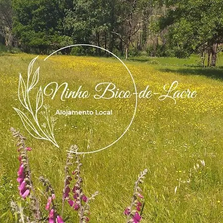 Ninho Bico-de-lacre ~ O Paraiso E A/na Terra *