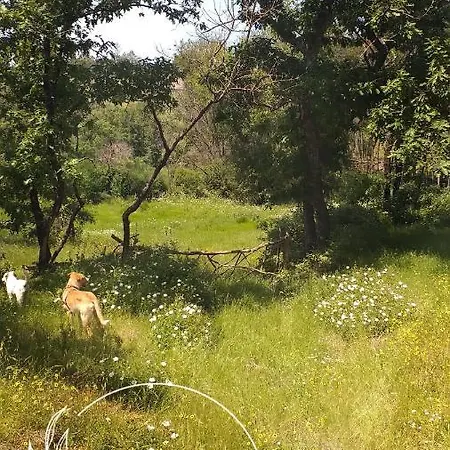 Ninho Bico-de-lacre ~ O Paraiso E A/na Terra Ferienhaus Balocas