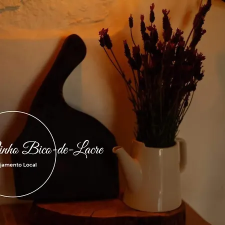 بيت للعطل Ninho Bico-de-lacre ~ O Paraiso E A/na Terra