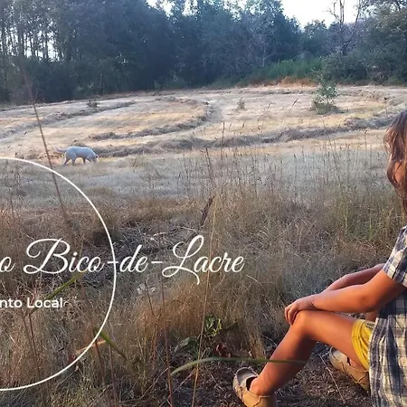 Дом отдыха Ninho Bico-de-lacre ~ O Paraiso E A/na Terra *