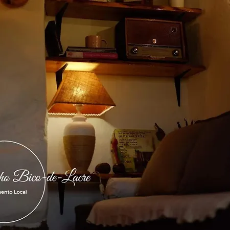 Ninho Bico-de-lacre ~ O Paraiso E A/na Terra * Balocas