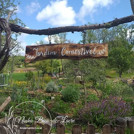 Ninho Bico-de-lacre ~ O Paraiso E A/na Terra *