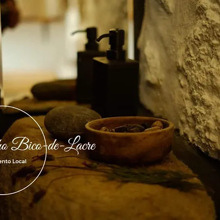 Ninho Bico-de-lacre ~ O Paraiso E A/na Terra