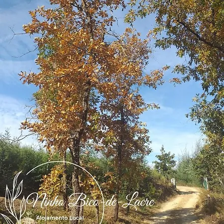 Ninho Bico-de-lacre ~ O Paraiso E A/na Terra Tatil Evi Balocas
