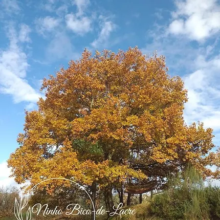 Ninho Bico-de-lacre ~ O Paraiso E A/na Terra Ferienhaus Balocas