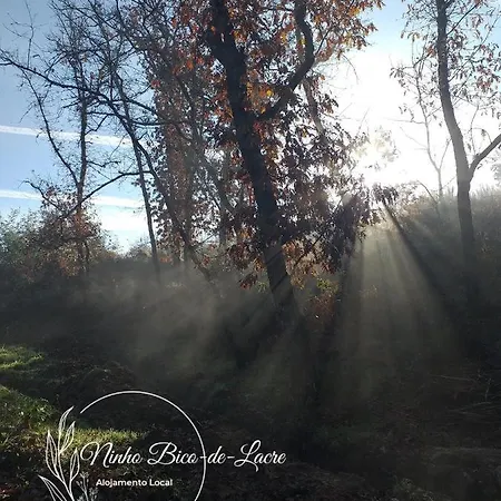 بيت للعطل Ninho Bico-de-lacre ~ O Paraiso E A/na Terra