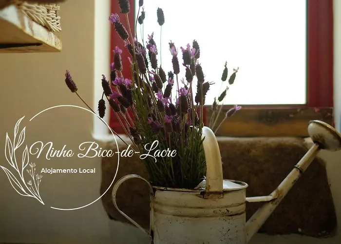 Ninho Bico-de-lacre ~ O Paraiso E A/na Terra Feriehus Balocas