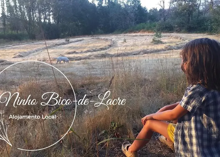 Feriehus Ninho Bico-de-lacre ~ O Paraiso E A/na Terra *